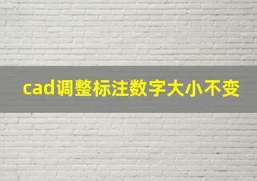 cad调整标注数字大小不变