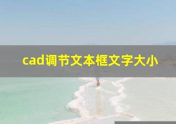 cad调节文本框文字大小