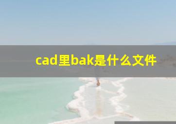 cad里bak是什么文件