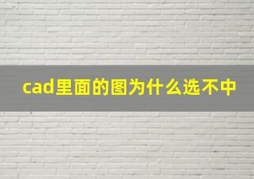 cad里面的图为什么选不中