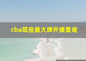 cba现役最大牌外援是谁