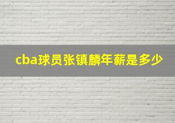 cba球员张镇麟年薪是多少