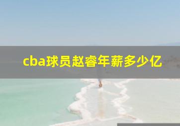 cba球员赵睿年薪多少亿