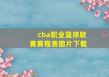 cba职业篮球联赛赛程表图片下载