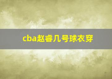 cba赵睿几号球衣穿