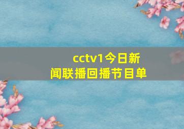 cctv1今日新闻联播回播节目单