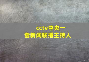 cctv中央一套新闻联播主持人