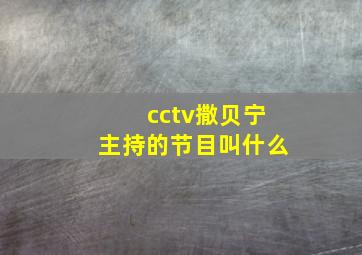 cctv撒贝宁主持的节目叫什么