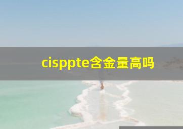 cisppte含金量高吗