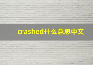 crashed什么意思中文