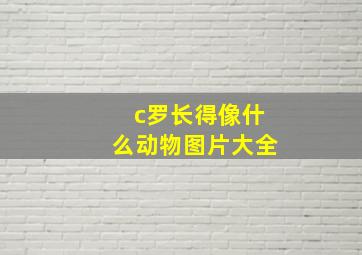 c罗长得像什么动物图片大全