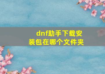 dnf助手下载安装包在哪个文件夹