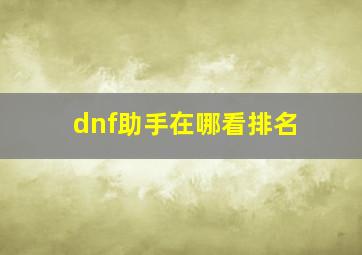 dnf助手在哪看排名