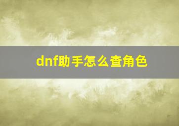 dnf助手怎么查角色