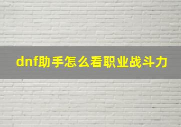 dnf助手怎么看职业战斗力