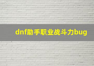 dnf助手职业战斗力bug