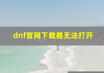 dnf官网下载器无法打开