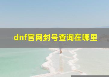 dnf官网封号查询在哪里