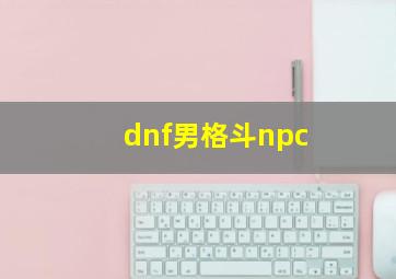 dnf男格斗npc