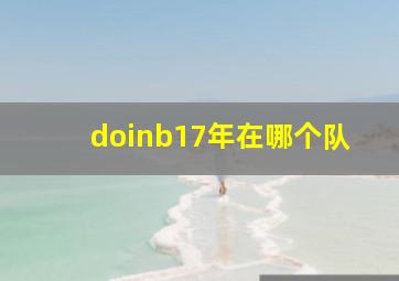 doinb17年在哪个队