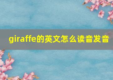 giraffe的英文怎么读音发音