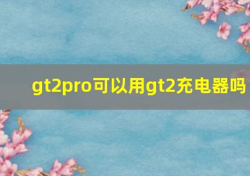 gt2pro可以用gt2充电器吗