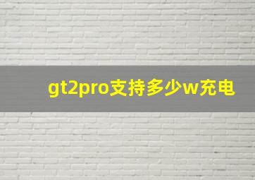 gt2pro支持多少w充电