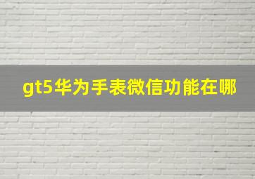 gt5华为手表微信功能在哪