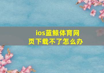 ios蓝鲸体育网页下载不了怎么办