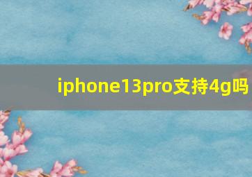 iphone13pro支持4g吗