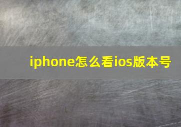 iphone怎么看ios版本号