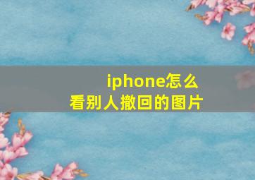 iphone怎么看别人撤回的图片