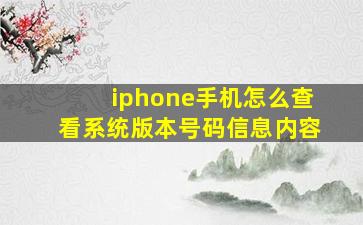 iphone手机怎么查看系统版本号码信息内容