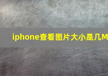 iphone查看图片大小是几M