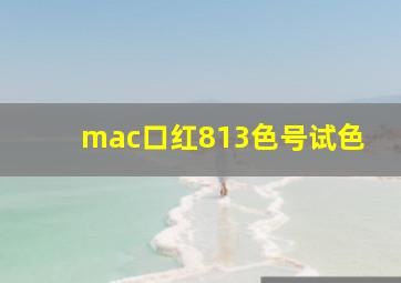 mac口红813色号试色