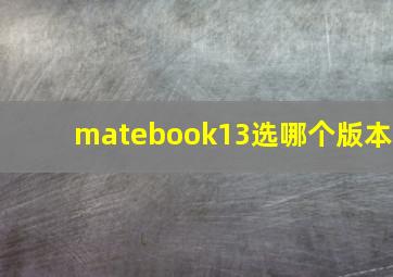 matebook13选哪个版本