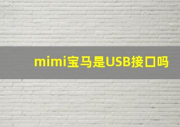 mimi宝马是USB接口吗