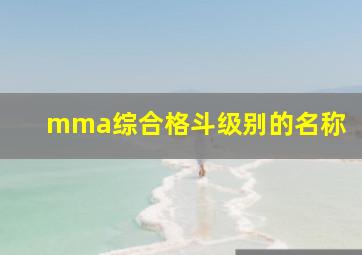 mma综合格斗级别的名称