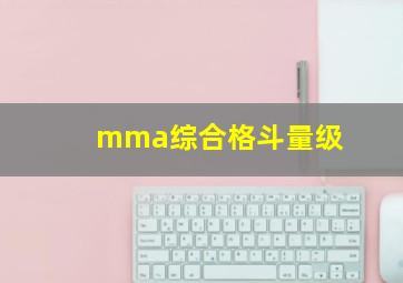 mma综合格斗量级