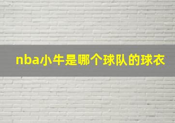 nba小牛是哪个球队的球衣