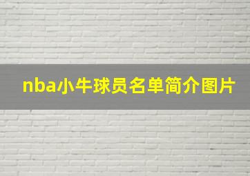 nba小牛球员名单简介图片