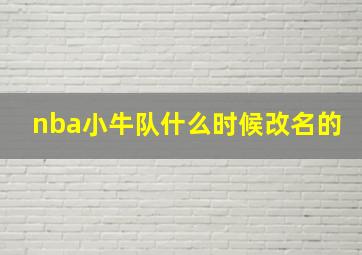 nba小牛队什么时候改名的