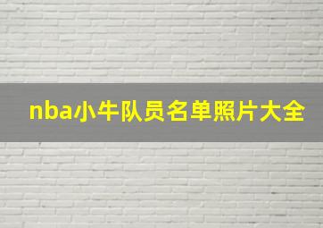 nba小牛队员名单照片大全