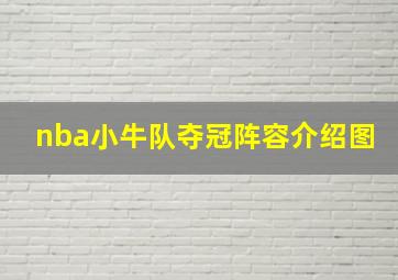 nba小牛队夺冠阵容介绍图