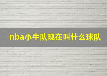 nba小牛队现在叫什么球队