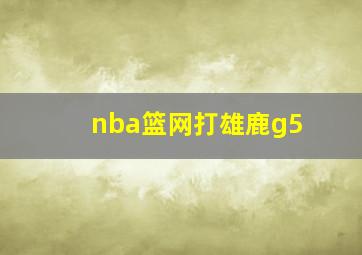 nba篮网打雄鹿g5