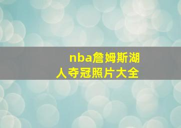 nba詹姆斯湖人夺冠照片大全