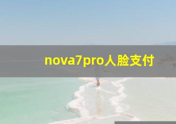 nova7pro人脸支付