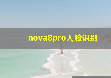 nova8pro人脸识别