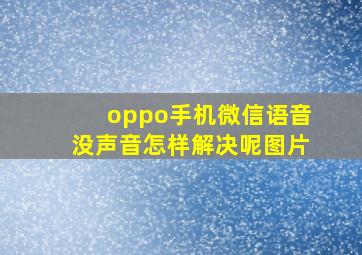 oppo手机微信语音没声音怎样解决呢图片